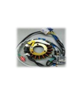 3W4s Stator assly bajaj
RE205 CNG