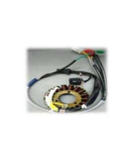 3W4s Stator assly bajaj
225CC COMPACT (BS3&BS4)