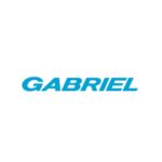 GABRIEL SHOCK ABSORBER FOR EXPORT