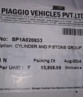 VESPA-CYLINDER AND PISTONS GROUP -SP1A020853